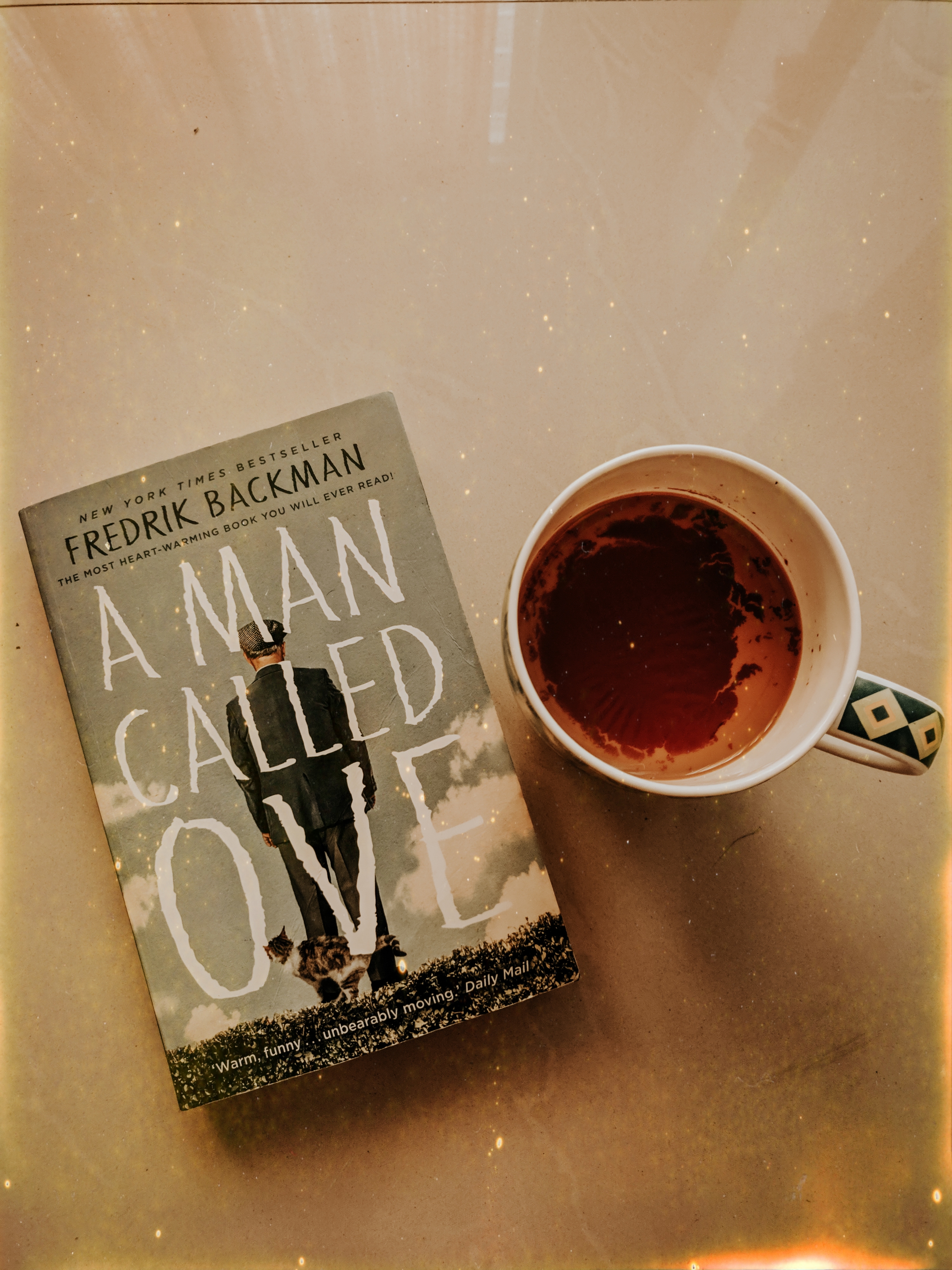 A Man Called Ove || Book Review - Life And Its Experiments